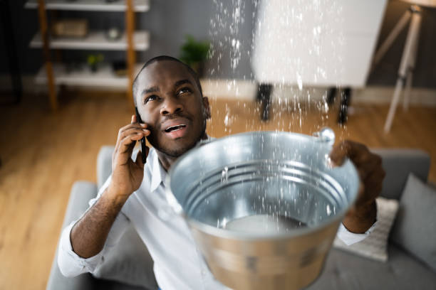 Best Mold removal after water damage  in Pecan Plantation, TX