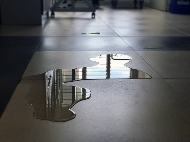 Best Professional water damage repair  in Pecan Plantation, TX