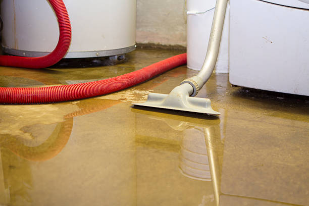 Best Basement water damage restoration  in Pecan Plantation, TX