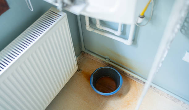 Best Local water damage restoration  in Pecan Plantation, TX