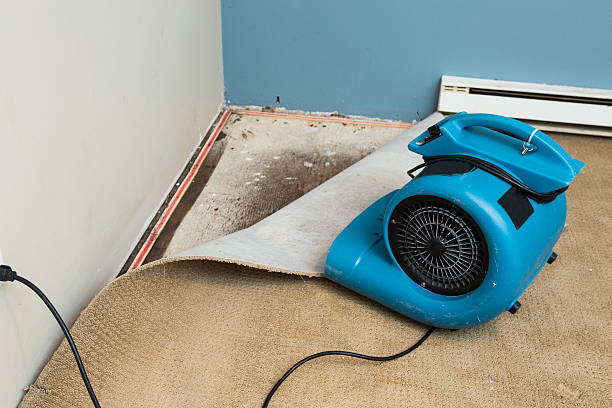 Best 24/7 water damage repair  in Pecan Plantation, TX